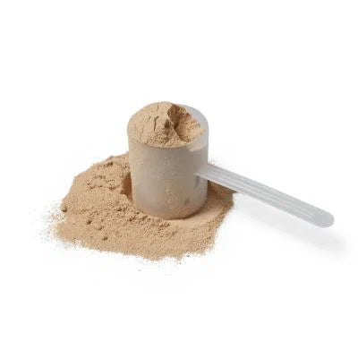 Chocolate Protein Powder