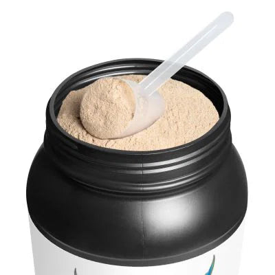 Chocolate Protein Powder